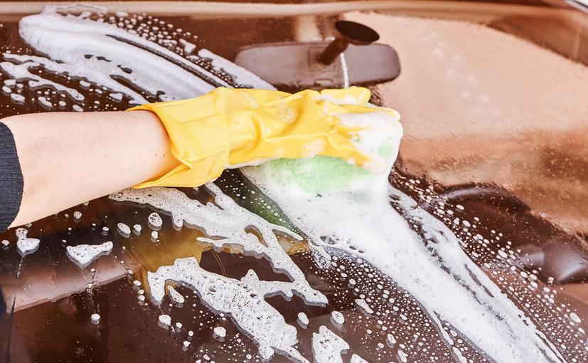 What Are The Best Shampoos For Your Car? What Are The Best Shampoos For Your Car?
