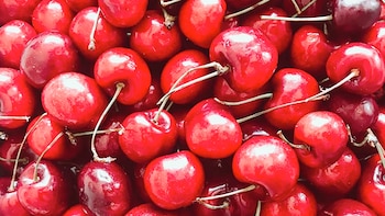 J&K's Cherry Express: Special Parcel Van To Carry 12 Tonnes Of Cherries To Mumbai