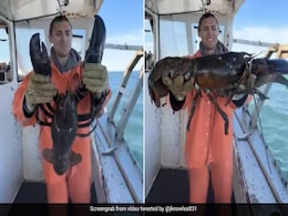 Man Catches Giant Lobster, Claims It's 100 Years Old: "My Great-Grandfather Very Likely Caught It" Man Catches Giant Lobster, Claims It's 100 Years Old: "My Great-Grandfather Very Likely Caught It"