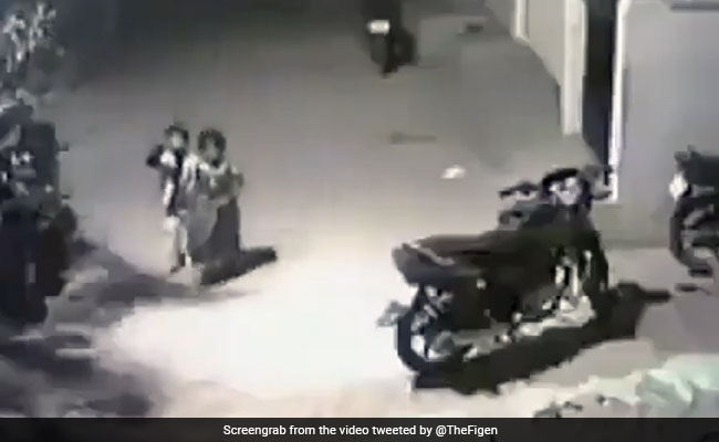 बहन को बचाने के लिए खूंखार कुत्तों से भिड़ गया छोटा बच्चा, आगे जो हुआ Video देख हैरान रह जाएंगे आप