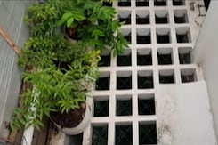 Recycling Rainwater Has Helped This Bengaluru Family Meet All Its Water Needs Recycling Rainwater Has Helped This Bengaluru Family Meet All Its Water Needs