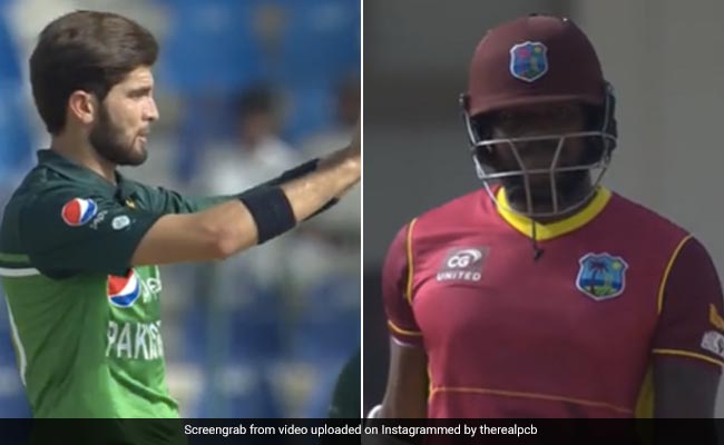 शाहीन शाह अफरीदी ने अपनी ही गेंद पर पकड़ा जबरदस्त कैच, बल्लेबाज को कुछ देर नहीं हुआ यकीन-VIDEO