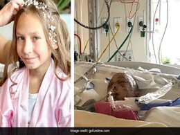 Playing Hide-And-Seek, 9-Year-Old Girl Attacked By Cougar In US Playing Hide-And-Seek, 9-Year-Old Girl Attacked By Cougar In US