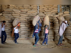 Bumper Wheat Harvest In Madhya Pradesh, Centre Ratchets Up Procurement