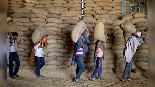 Bumper Wheat Harvest In Madhya Pradesh, Centre Ratchets Up Procurement