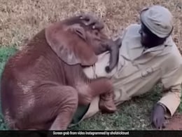 Video Of Baby Elephant Cuddling With Keeper Warms Hearts On Internet Video Of Baby Elephant Cuddling With Keeper Warms Hearts On Internet