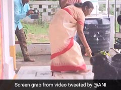 NDA की राष्ट्रपति पद की उम्मीदवार द्रौपदी मुर्मू ने मंदिर में लगाया झाड़ू, देखें वीडियो