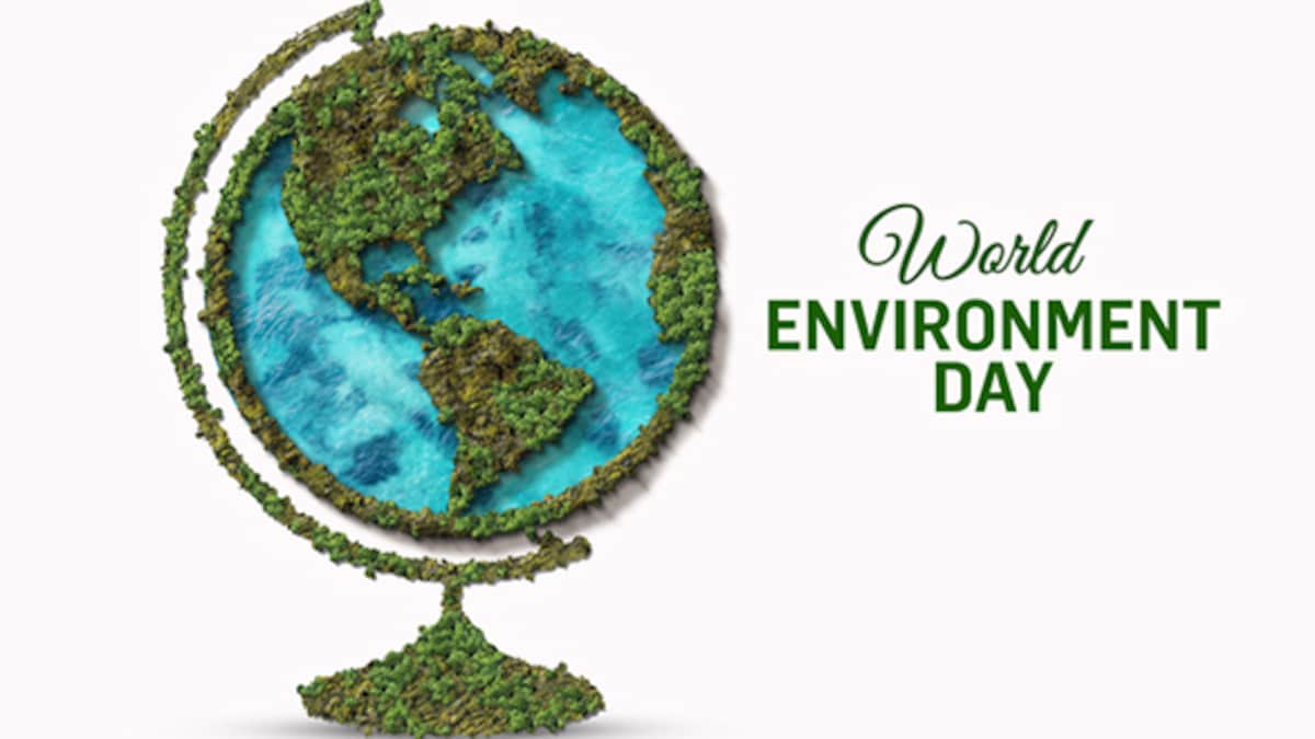 Día Mundial del Medio Ambiente 2022: Cómo construir una cocina ecológica