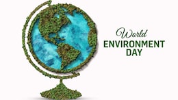 World Environment Day 2022: How To Build An Eco-Conscious Kitchen