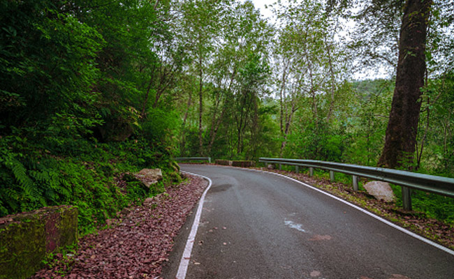 Monsoon 2022: Top 5 Places To Visit In Ranikhet