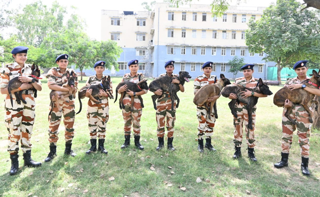 आईटीबीपी ने मेलिनोइस डॉग की ट्रेनिंग के लिए आठ महिला जवानों को किया तैनात