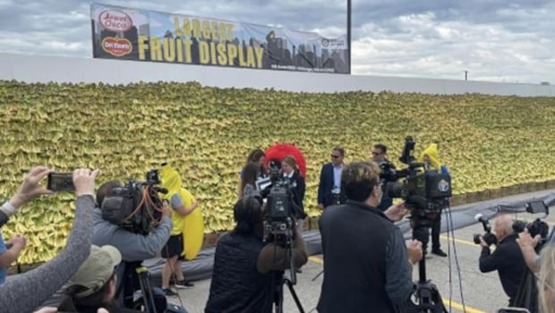 Banana Bonanza: Display Featuring 31,751 Kg Of Bananas Breaks World Record