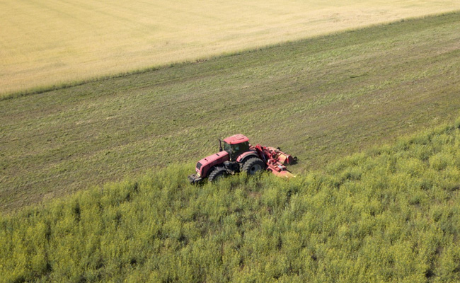 Philippines Writes Off $1 Billion Farmer Debt To Bolster Food Production