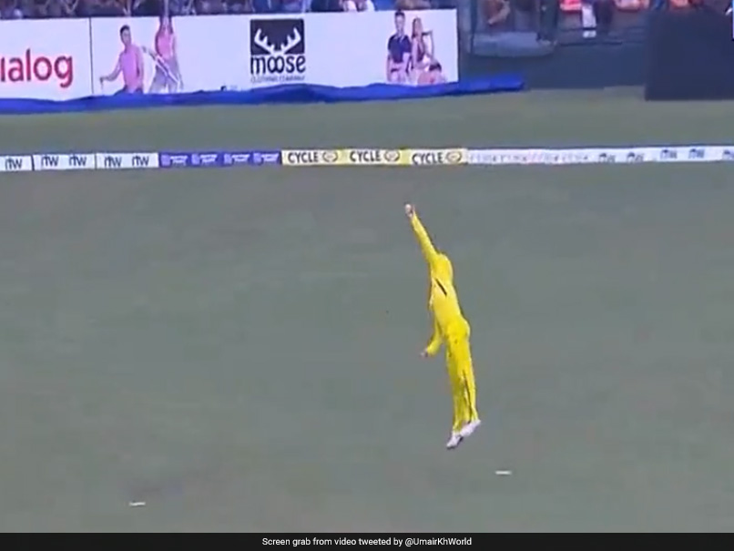 Watch: David Warner's One-Handed Blinder That Left His Own Teammate In Disbelief