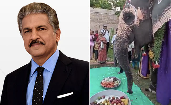 हाथी के बर्थडे पर लोग बोले Happy Birthday, तो गजराज ने देसी अंदाज़ में कहा- थैंक यू, आनंद महिंद्रा भी हो गए फैन