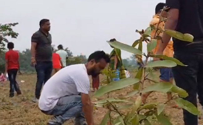 Assam Village Plants 1 Lakh Saplings On World Environment Day