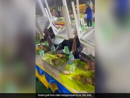 शादी में खाना खा रहे थे लोग, तभी हो गई झमाझम बारिश, फिर भी खाने में जुटे रहे मेहमान, Video देख नहीं होगा यकीन शादी में खाना खा रहे थे लोग, तभी हो गई झमाझम बारिश, फिर भी खाने में जुटे रहे मेहमान, Video देख नहीं होगा यकीन