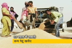 इस साल गेहूं की खरीद में रिकॉर्ड कमी, लक्ष्य के 50% तक भी नहीं पहुंच पायी सरकार इस साल गेहूं की खरीद में रिकॉर्ड कमी, लक्ष्य के 50% तक भी नहीं पहुंच पायी सरकार