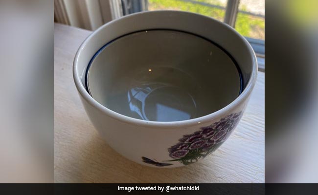 महिला के लिए मुसीबत बना चीनी मिट्टी का कटोरा, ट्वीट में बताई समस्या, वजह जान आप भी करेंगे मदद