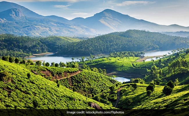 5 Best Places To Visit In Munnar In Monsoon 2022