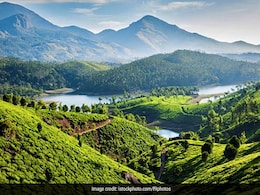 5 Best Places To Visit In Munnar In Monsoon 2022 5 Best Places To Visit In Munnar In Monsoon 2022