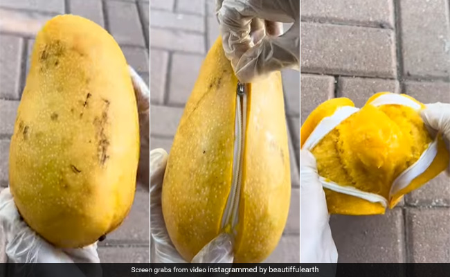 Watch: आपको देखने में यह पर्स लगेगा, लेकिन Video देख नहीं होगा यकीन