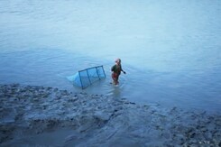 Sundarbans Special: Rising Salinity And Sea Level Pose Multiple Health Challenges Sundarbans Special: Rising Salinity And Sea Level Pose Multiple Health Challenges