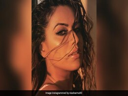 निया शर्मा ने ग्लैमरस फोटो शेयर कर लिखा मजेदार कैप्शन, ट्रोलर्स को दिया करारा जवाब निया शर्मा ने ग्लैमरस फोटो शेयर कर लिखा मजेदार कैप्शन, ट्रोलर्स को दिया करारा जवाब