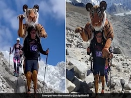 Watch: टाइगर सूट पहन Everest Marathon में दौड़ा 59 साल का फोटोग्राफर, Video हुआ वायरल Watch: टाइगर सूट पहन Everest Marathon में दौड़ा 59 साल का फोटोग्राफर, Video हुआ वायरल