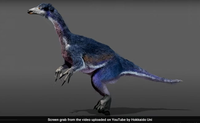 New Dinosaur Species With Massive Knife-Like Claws Found In Japan ...