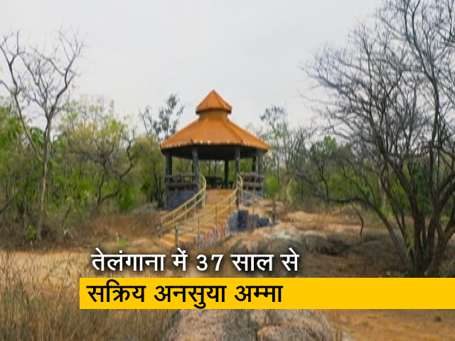 अनसुया अम्मा ने 22 गांवों के लोगों को प्रेरित करके 1000 एकड़ में 20 लाख से भी ज्यादा पेड़ लगाए