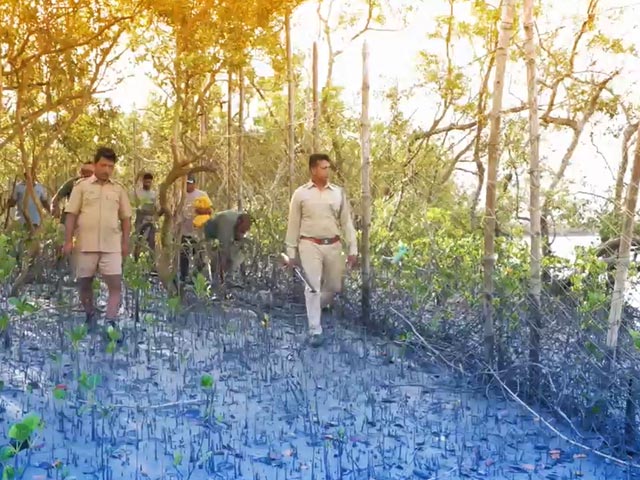 Sundarbans Special: The Impact Of Climate Change On Lives And Livelihoods