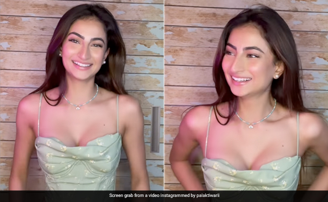 Palak Tiwari's Delightful Summer Style Is A Certain Treat To The Eyes