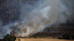 Wildfires In France And Spain: Who Is Most At Risk From Toxic Smoke?