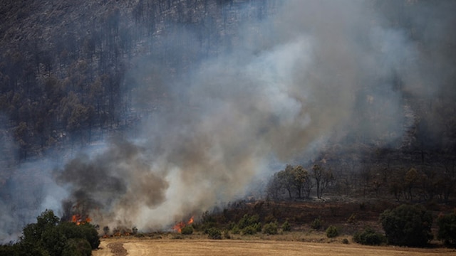 Smoke inhalation from wildfires can cause damage to your health