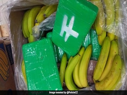 Drug Smugglers Deliver Shipment Of Cocaine Worth 68 Million Pounds To Czech Supermarkets By Mistake Drug Smugglers Deliver Shipment Of Cocaine Worth 68 Million Pounds To Czech Supermarkets By Mistake