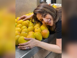 Madhuri Dixit Writes Heartfelt Note For Passing Mango Season; We Can Totally Relate Madhuri Dixit Writes Heartfelt Note For Passing Mango Season; We Can Totally Relate
