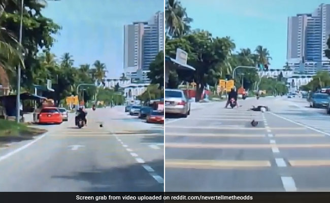 Watch: Basket Ball-Sized Coconut Drops On Woman, She Falls Off Scooter