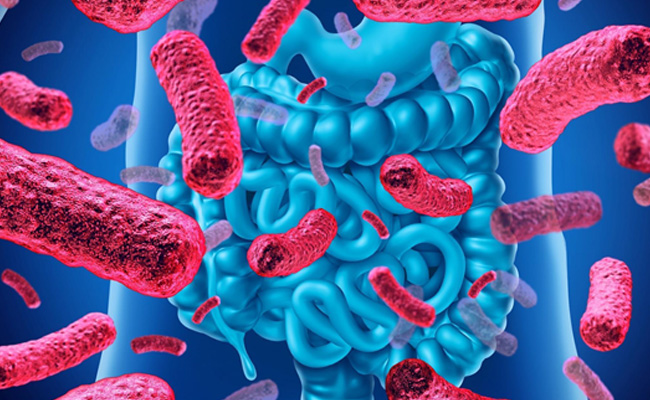 7 Best Probiotics For Gut Health In 2022