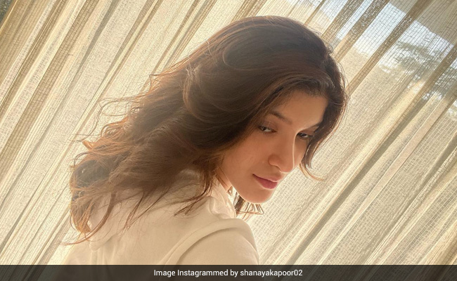 Shanaya Kapoor's "Happy Moments" Are All About Food, Kathak And James Bond