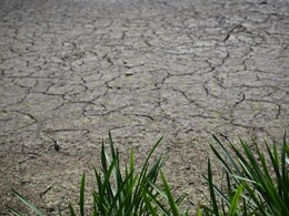 Britain Begins Drought Planning Following Record-Breaking Temperatures Britain Begins Drought Planning Following Record-Breaking Temperatures