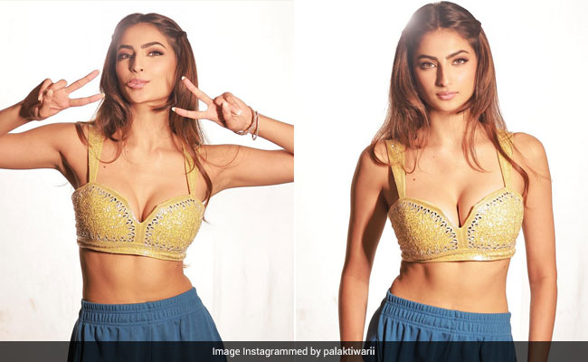 A Mirror Work Blouse With Track Pants? We Don't Know How But Palak Tiwari Makes It Work