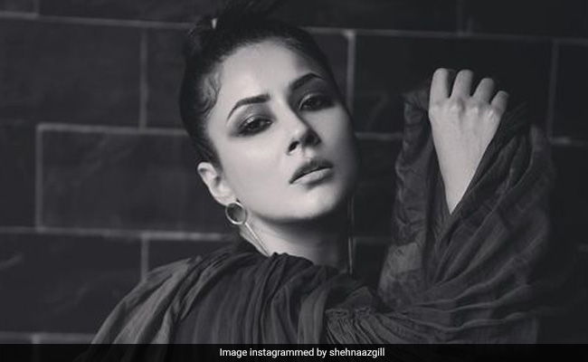 Even In A Black And White Pic Shehnaaz Gill Is As Bright As A Rainbow
