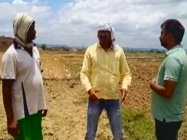 High Rainfall Deficit In Bihar Worries Farmers