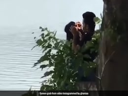 नदी किनारे बैठ गर्लफ्रेंड के सिर से जूं निकालता दिखा युवक, लोग बोले- इससे ज्यादा प्यार कोई नहीं कर सकता ! नदी किनारे बैठ गर्लफ्रेंड के सिर से जूं निकालता दिखा युवक, लोग बोले- इससे ज्यादा प्यार कोई नहीं कर सकता !