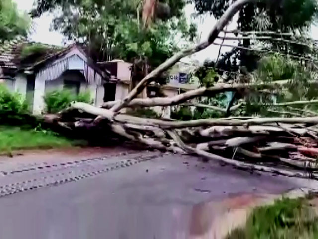 Trees Uprooted, Roads Blocked Due To Heavy Rain In Karnataka