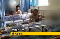 मुंबई में स्वाइन फ्लू के बढ़ने लगे केस, प्रशासन ने किया अलर्ट मुंबई में स्वाइन फ्लू के बढ़ने लगे केस, प्रशासन ने किया अलर्ट