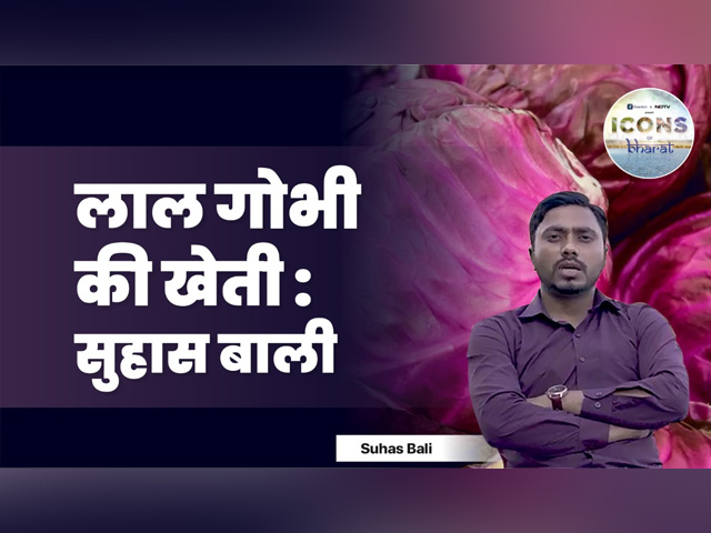 जानिए रेड कैबेज की खेती के बारे में , Icons Of Bharat सुहास बाली से