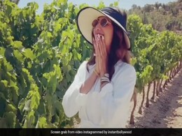 अंगूर के बगीचे को देख उछल पड़ीं शिल्पा शेट्टी फैन्स बोले- पहली बार अंगूर देखें हैं क्या  अंगूर के बगीचे को देख उछल पड़ीं शिल्पा शेट्टी फैन्स बोले- पहली बार अंगूर देखें हैं क्या