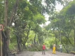 मुंबई के आरे में  मेट्रो शेड के लिए पेड़ काटने के मामले में अनुमति भी, जुर्माना भी... मुंबई के आरे में  मेट्रो शेड के लिए पेड़ काटने के मामले में अनुमति भी, जुर्माना भी...